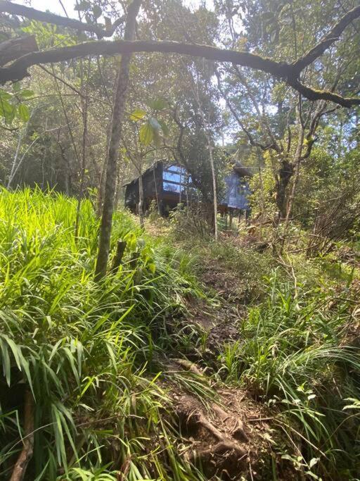 Ecoaldea, Cabaña En La Naturaleza